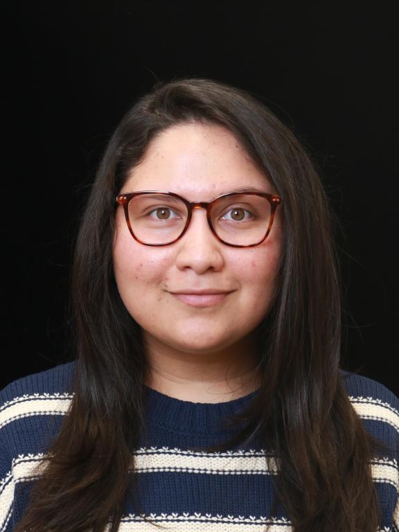 Kena Bharatbhai Desai image