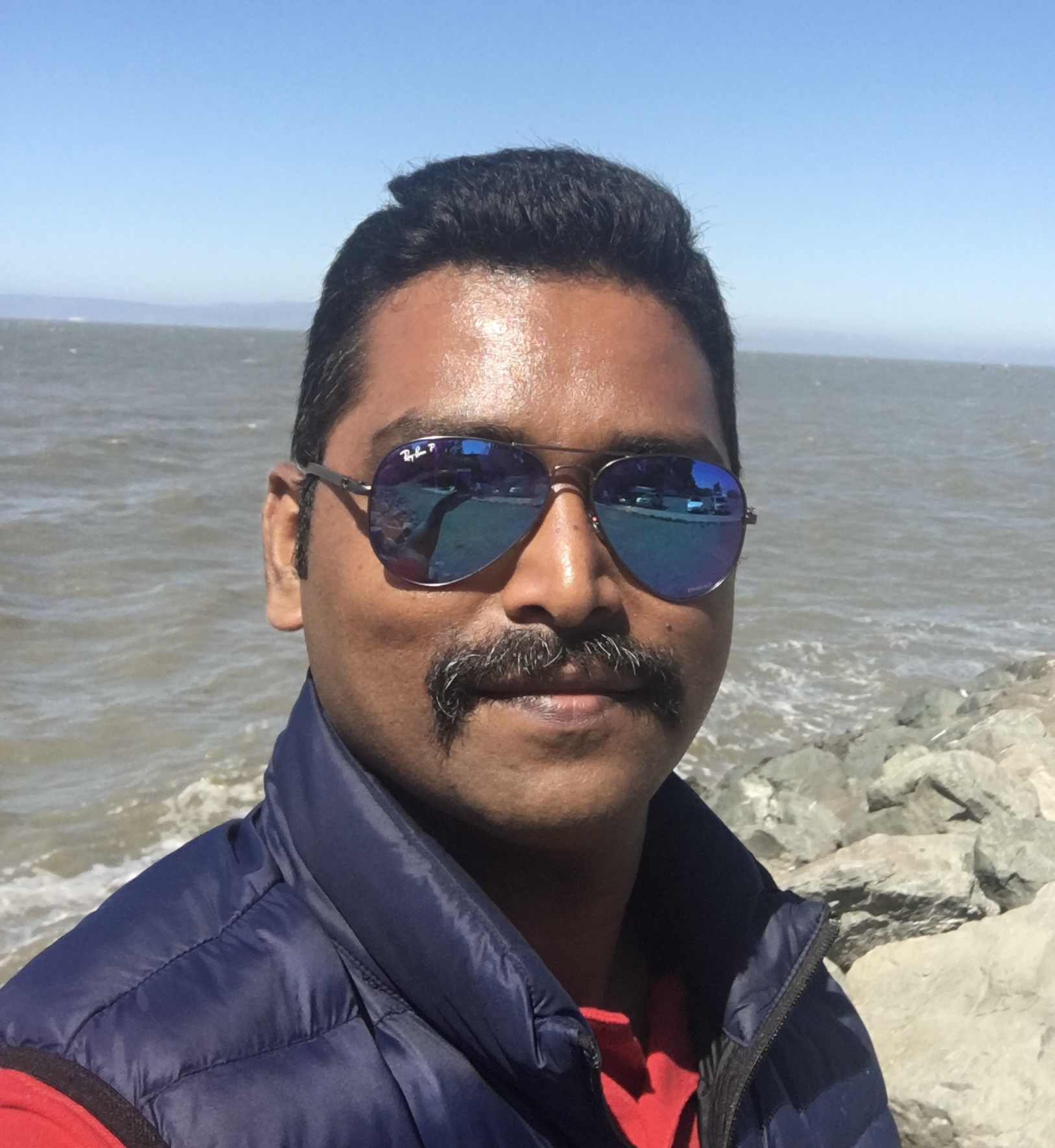 Sathyanarayanan Veeramani image