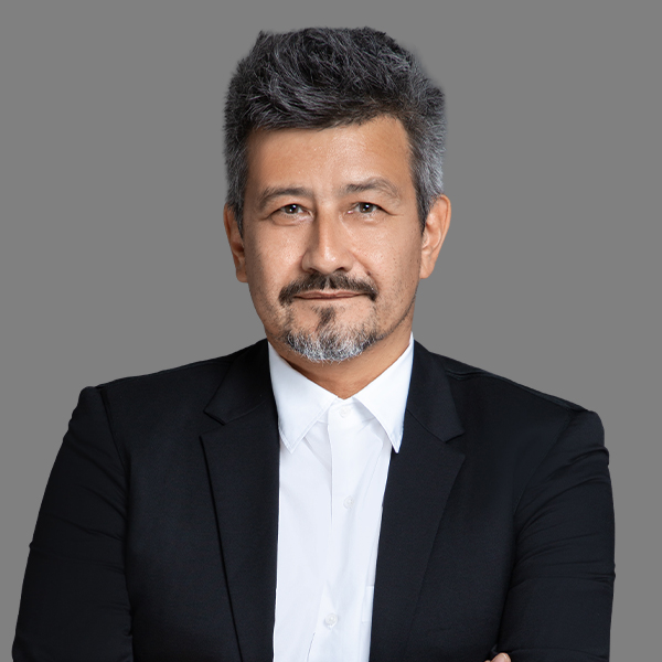 Thierry Halbroth image